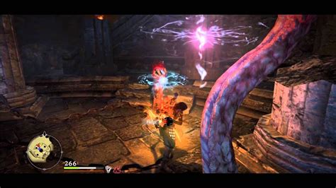 dragon's dogma tentacle boss.